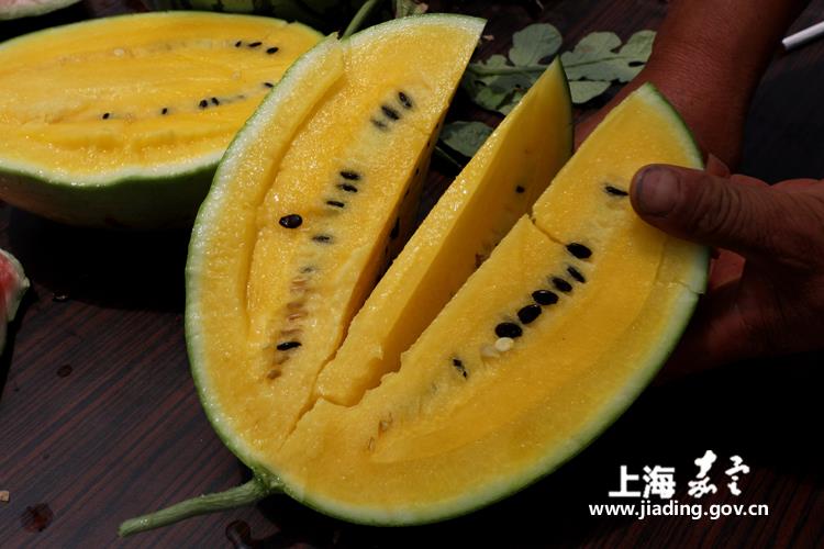 81c22d95a02a4be6bedd98b7ddc4e6fd.jpg