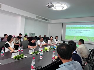 专家田间“把脉”，嘉定共鉴耐热青菜良种