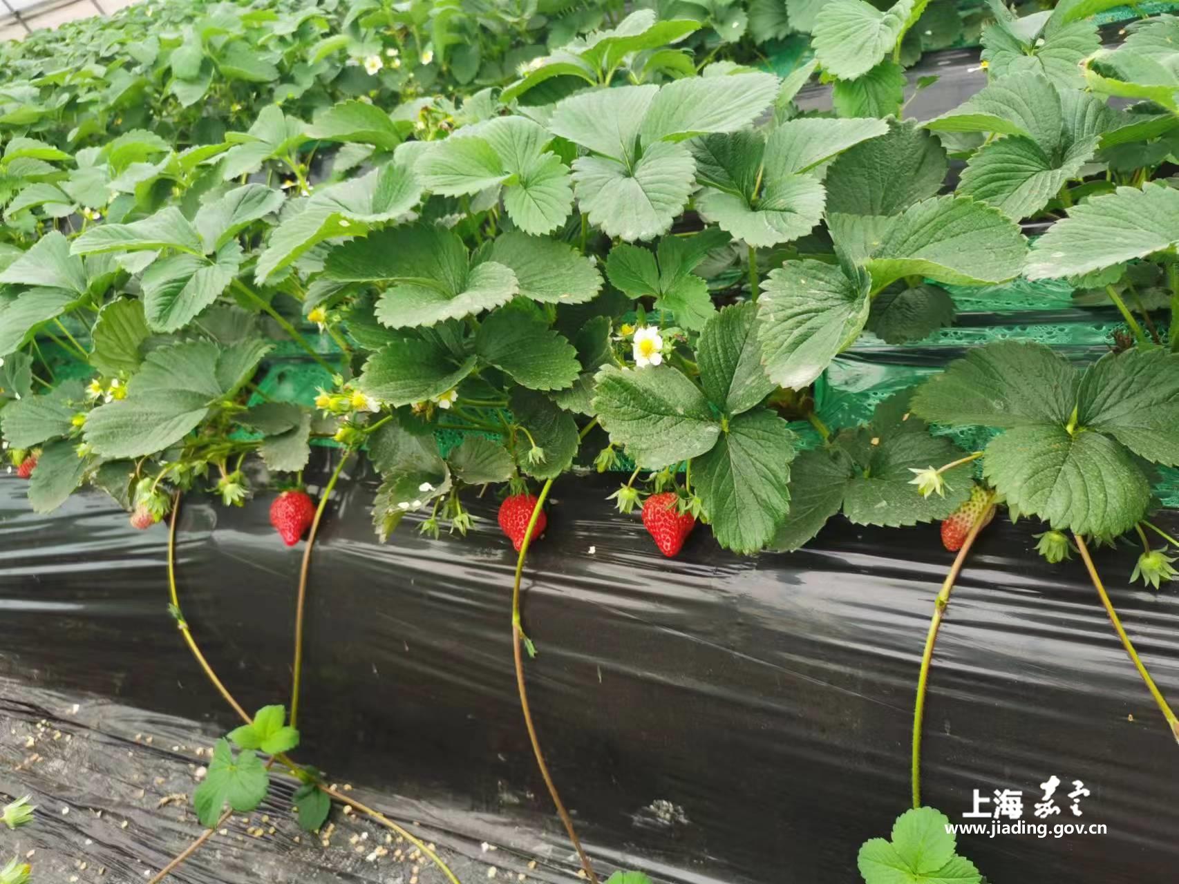 0298035cc2ff48a4b499beff925712b7.jpg 0298035cc2ff48a4b499beff925712b7.jpg