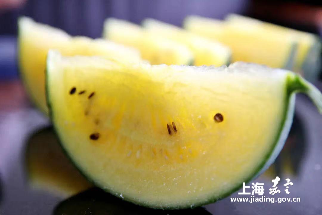 1f0f3f9c71d84736aa2ce8801d17d70d.jpg 1f0f3f9c71d84736aa2ce8801d17d70d.jpg