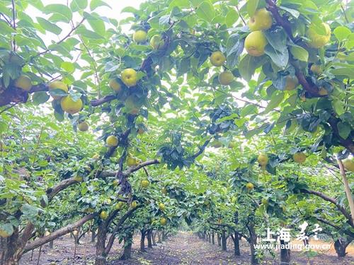 353c33b775ad4e7586833b7e47150cc9.jpg 353c33b775ad4e7586833b7e47150cc9.jpg