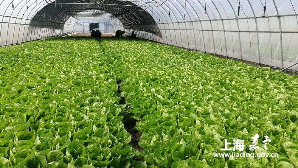 379561465c534cf19051a74d7cdde2c5.jpg 379561465c534cf19051a74d7cdde2c5.jpg