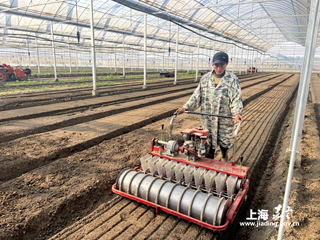 嘉定区举办2025年蔬菜生产机械化工作推进会