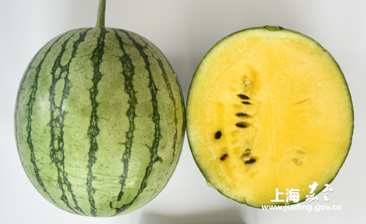 3a0b58caca7e4ccf8f******9548e1cd8.png 3a0b58caca7e4ccf8f******9548e1cd8.png