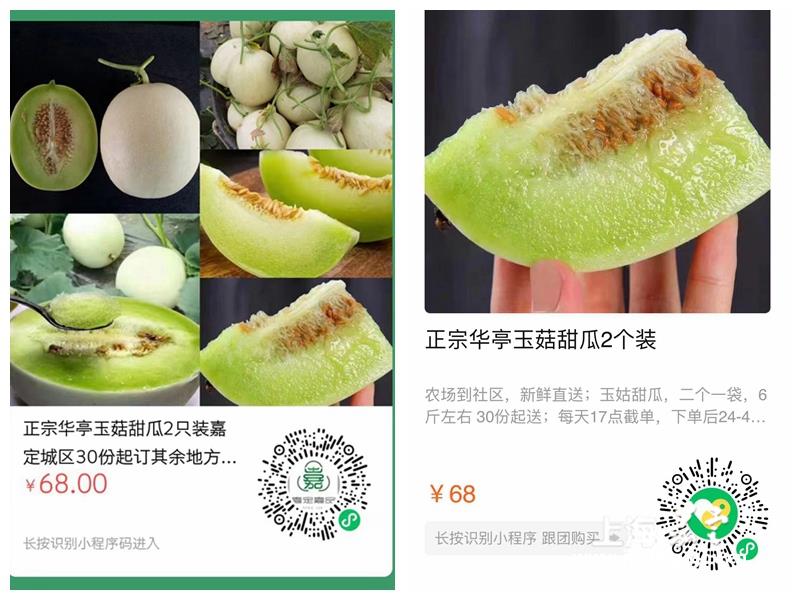 48f******52264d31860e62b45a417e4e.jpg 48f******52264d31860e62b45a417e4e.jpg