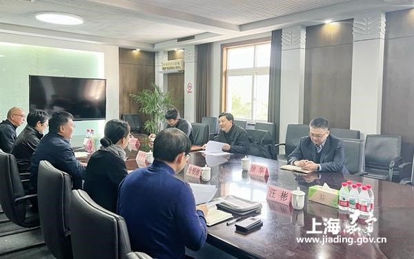 副区长丁炯炯专题调研乡村振兴工作