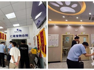 拓展跨部门综合监管 提升动物诊疗行业管理效能