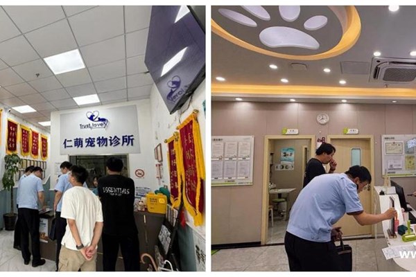 拓展跨部门综合监管 提升动物诊疗行业管理效能