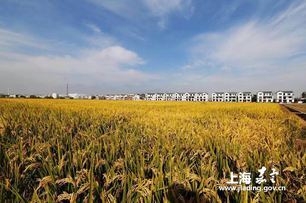 50a******577644d7a1f06a34cd7e186b.jpg 50a******577644d7a1f06a34cd7e186b.jpg