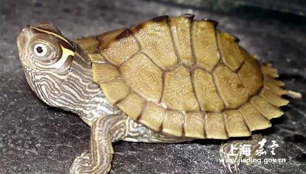 55d9b217239f4292a269bf8dbc22d4f6.jpg 55d9b217239f4292a269bf8dbc22d4f6.jpg