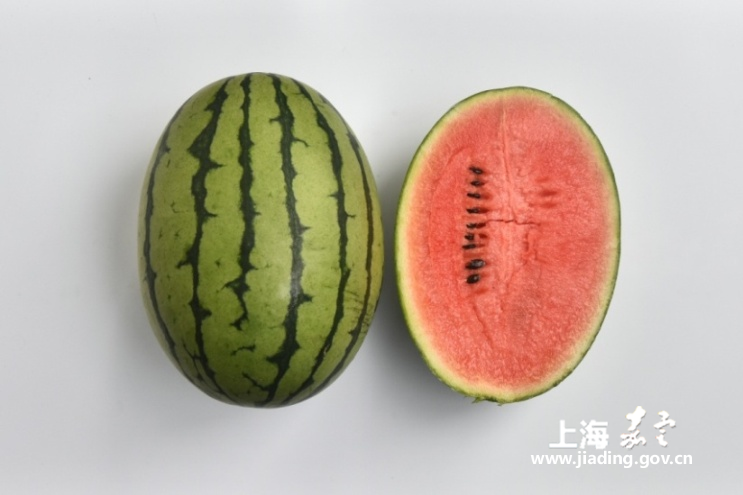 65f1150d64ec494fbda43d5e20b92fce.png 65f1150d64ec494fbda43d5e20b92fce.png