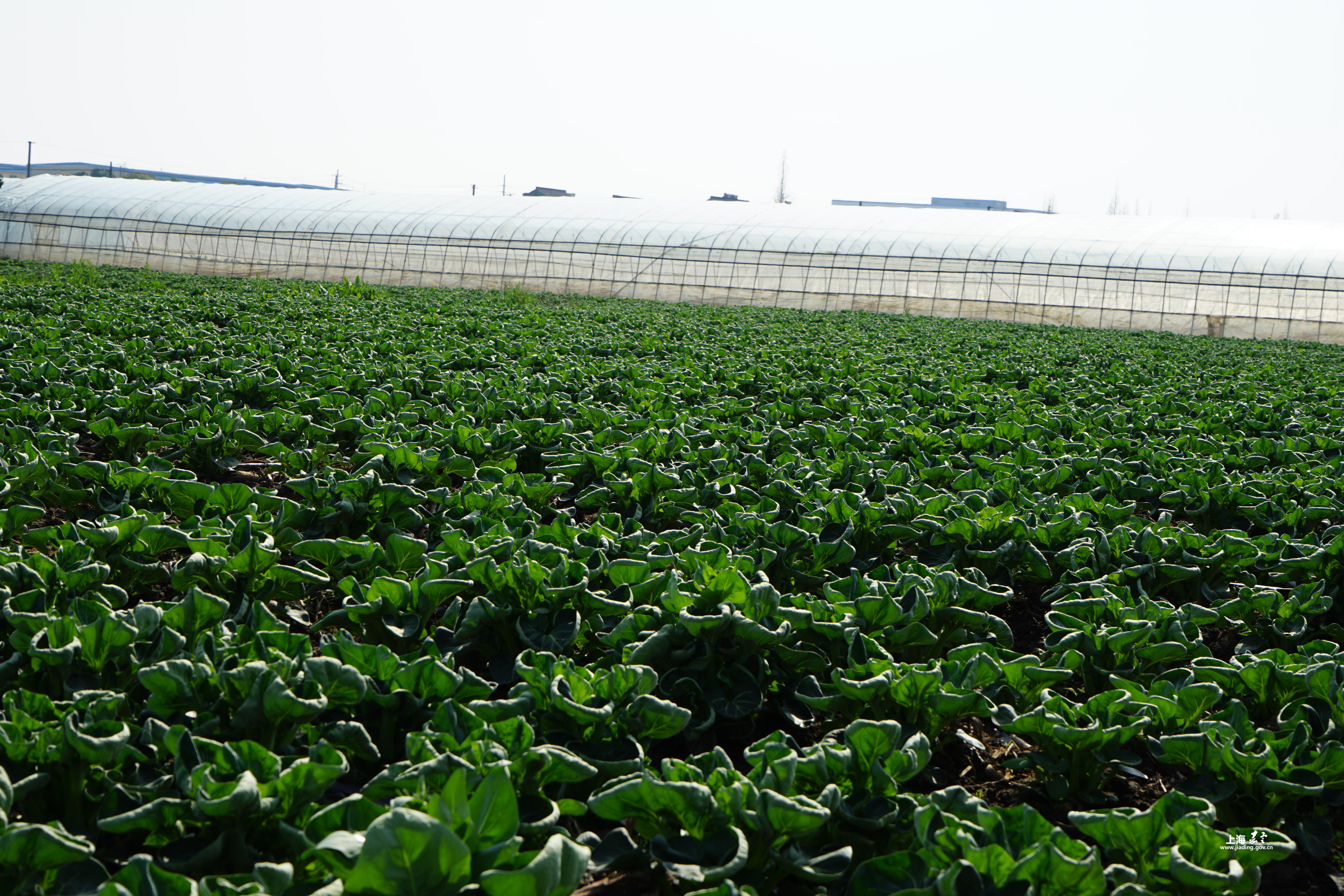 7203485eb4a744f4babaa8afe3304006.jpg 7203485eb4a744f4babaa8afe3304006.jpg