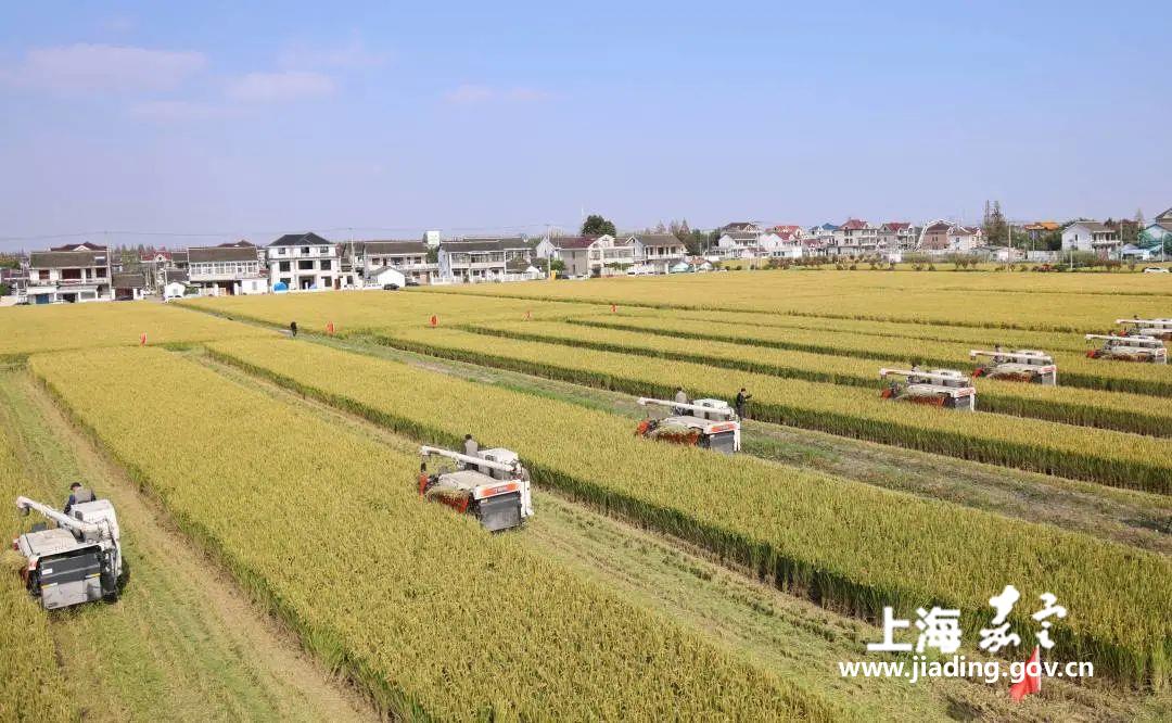 78d536d4c59a46728c7c7ace6b1205a7.jpg 78d536d4c59a46728c7c7ace6b1205a7.jpg