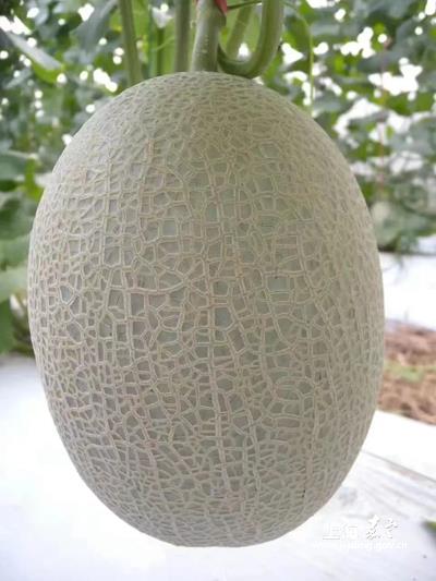 7b67de03039d4d32a56b91479a45cad8.jpg 7b67de03039d4d32a56b91479a45cad8.jpg