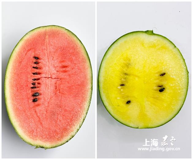 82305cf630684b7eaae4e3caa362446e.jpg 82305cf630684b7eaae4e3caa362446e.jpg