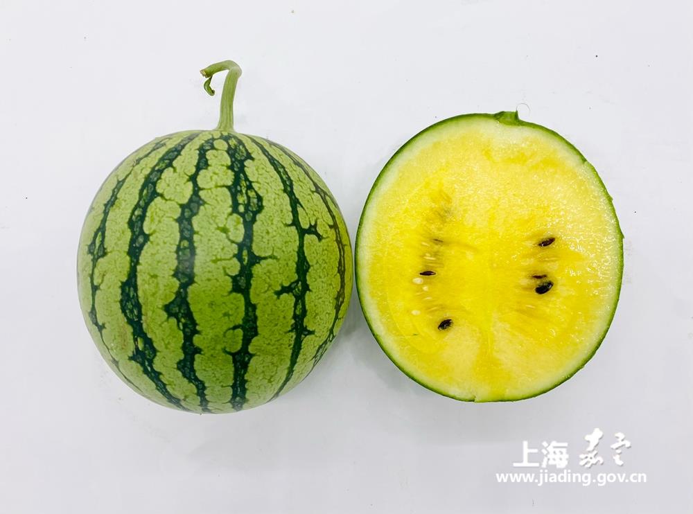 8565c440d79b4d5b94bd5af462f2c067.jpg 8565c440d79b4d5b94bd5af462f2c067.jpg