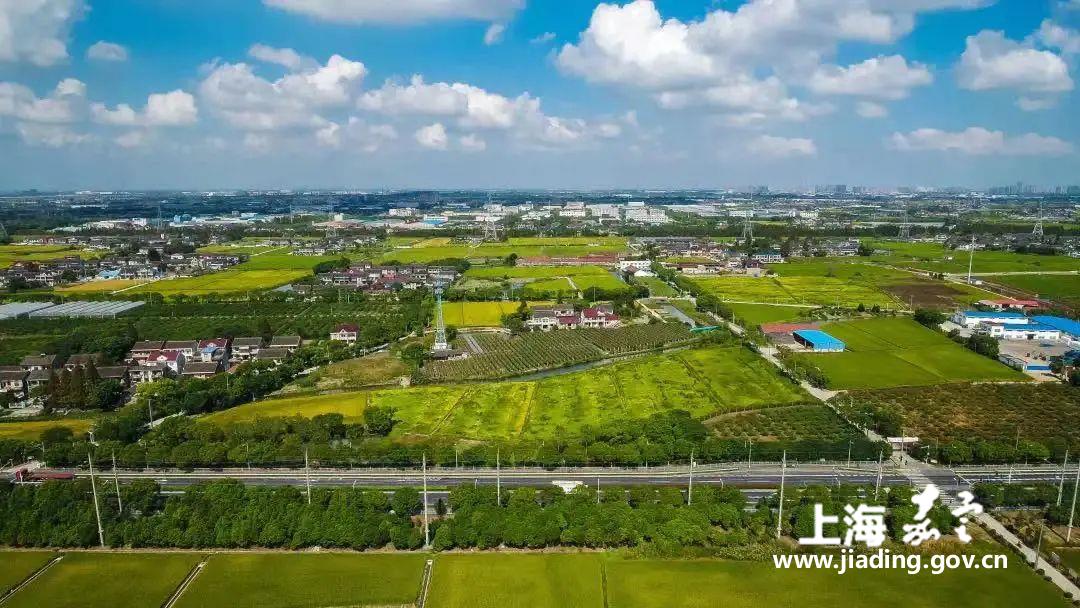 86d361a306f84c98b6b5f57afb91e640.jpg 86d361a306f84c98b6b5f57afb91e640.jpg