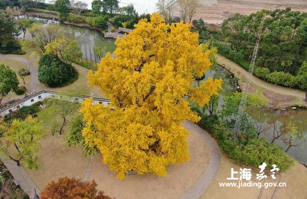 89202bcb6c284a67b2665a69609bed0b.jpg 89202bcb6c284a67b2665a69609bed0b.jpg