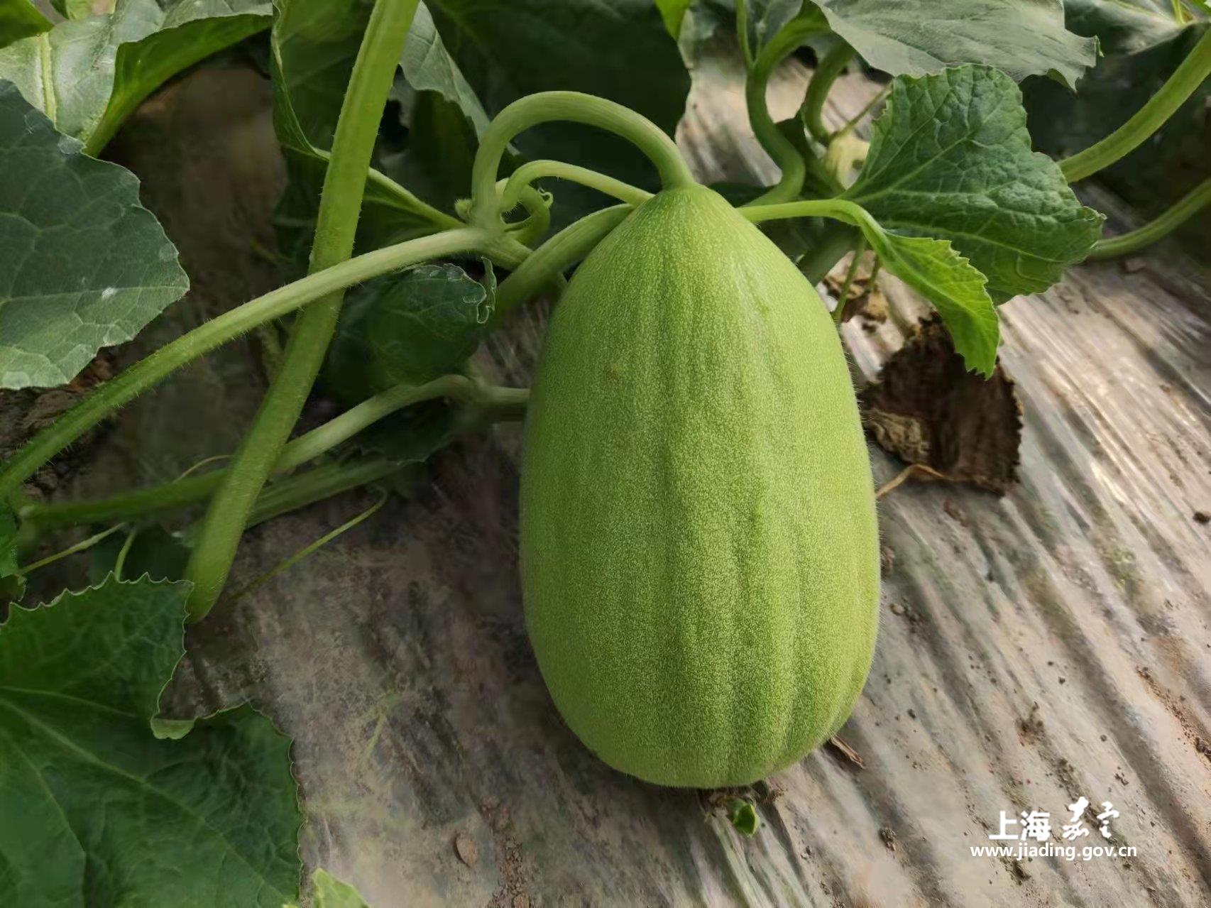 8d34b3123b294b08985e355798acc210.jpg 8d34b3123b294b08985e355798acc210.jpg