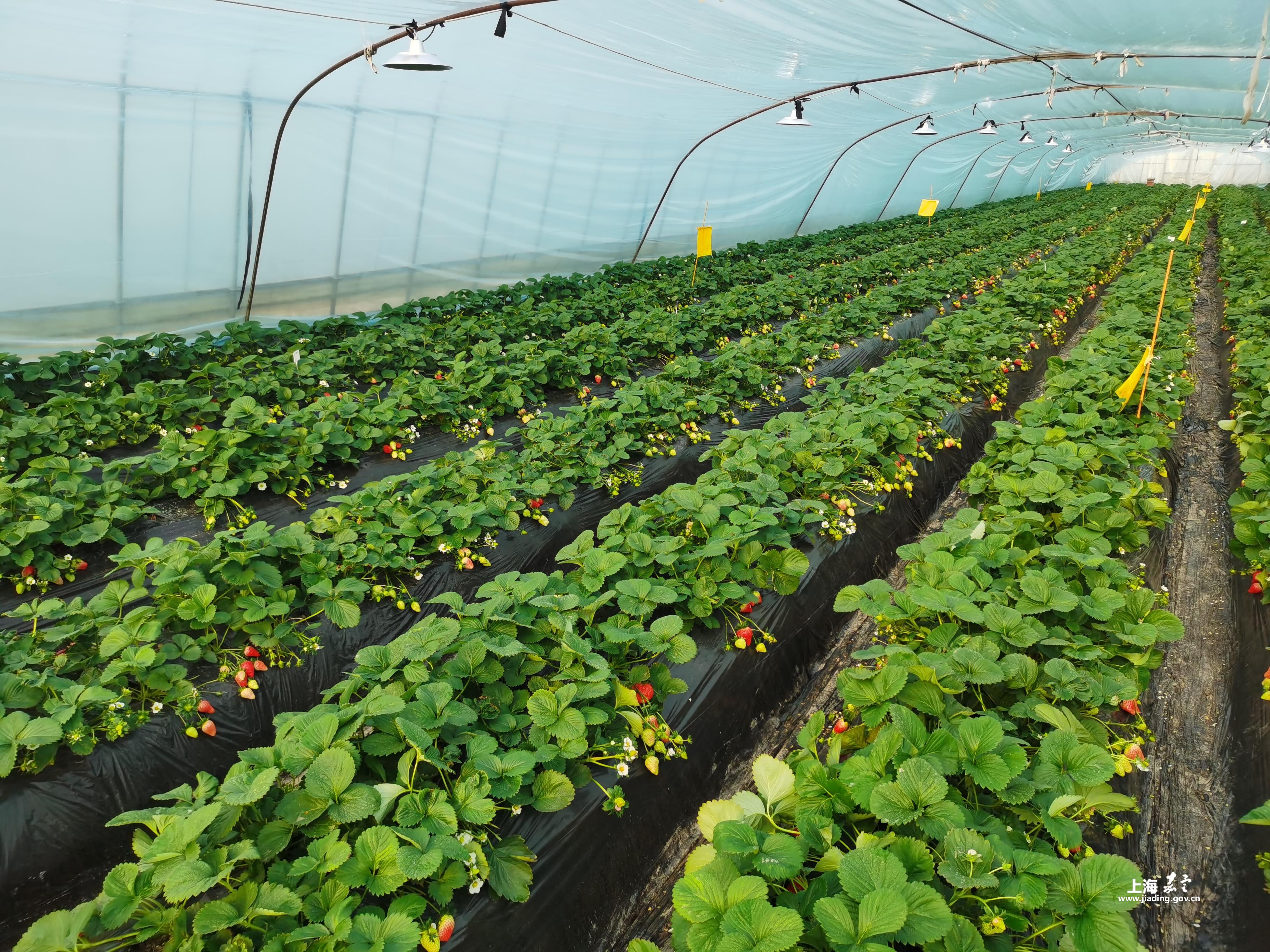 90cc8fd7b6184550b3f2e9a3bbcb6625.jpg 90cc8fd7b6184550b3f2e9a3bbcb6625.jpg