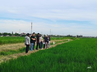 嘉定区开展粮食绿色高产高效行动中期观摩交流活动