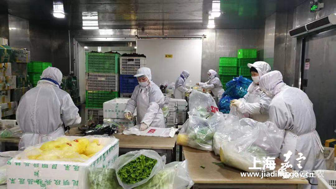 95cc16a727534a6ab7273f1e01e386fd.jpg 95cc16a727534a6ab7273f1e01e386fd.jpg