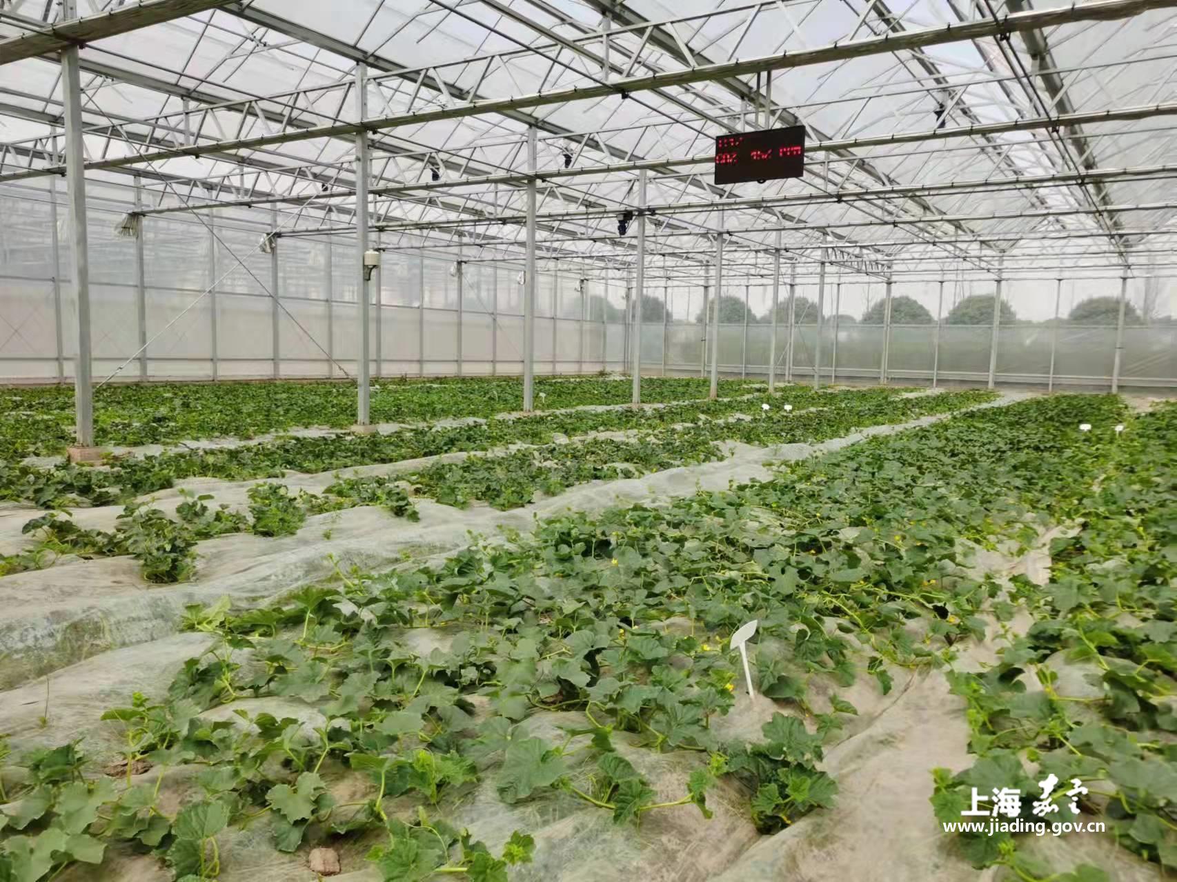 9d9b586fac7f4fbda47d353f03e95ecc.jpg 9d9b586fac7f4fbda47d353f03e95ecc.jpg