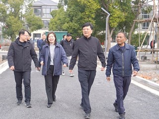 副区长丁炯炯调研“五好两宜”和美乡村建设情况