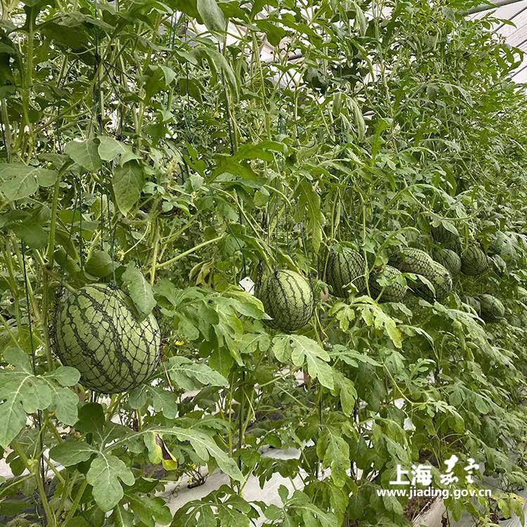 a4401787da3b4a4b920def82b22310c1.jpg a4401787da3b4a4b920def82b22310c1.jpg