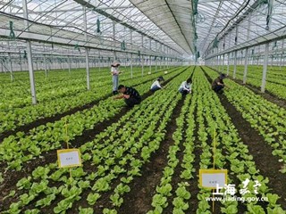 向“绿”而行，尚“优”而生