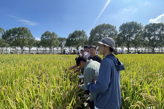 嘉定区高素质农民培育粮食班开展学习活动