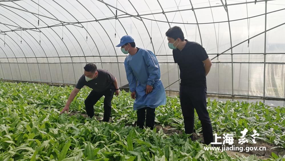 a9596327dd354c549f0bd2ba03312c84.jpg a9596327dd354c549f0bd2ba03312c84.jpg