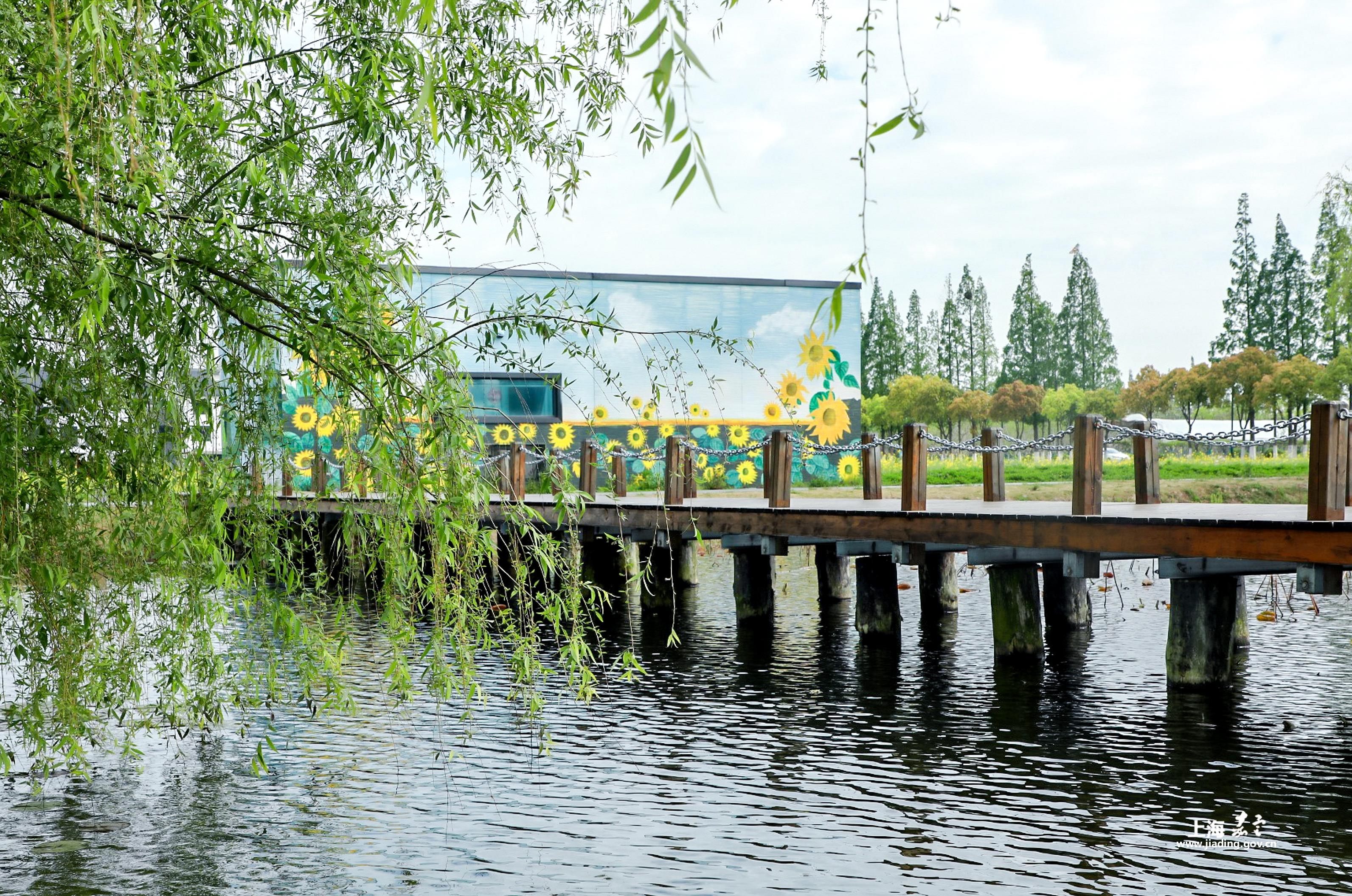 b85dc1235f3e49aa891629fe5d69097f.jpg b85dc1235f3e49aa891629fe5d69097f.jpg