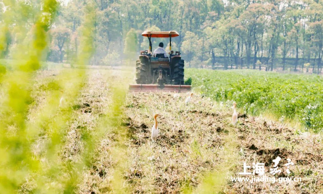 be0e48ca090d4d******02995c8c7e327.jpg be0e48ca090d4d******02995c8c7e327.jpg