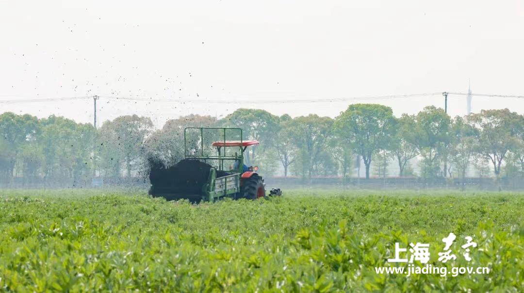 c0b8a******684dca9616c44d9bee2b96.jpg c0b8a******684dca9616c44d9bee2b96.jpg