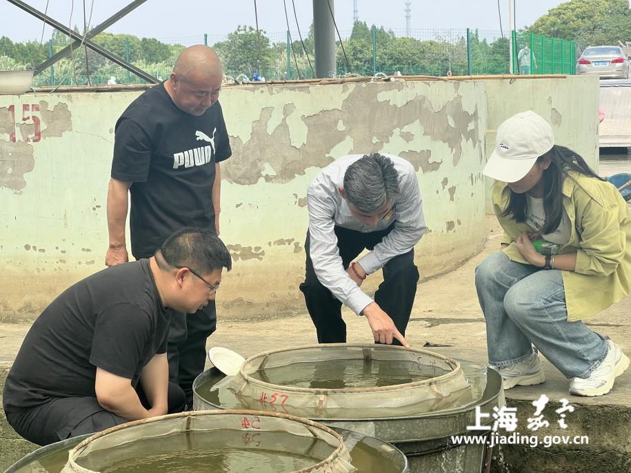 cdaf5318e8ec4b77867e0769d112ddc9.png cdaf5318e8ec4b77867e0769d112ddc9.png