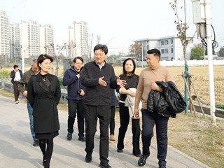 副区长丁炯炯调研第七批市级乡村振兴示范村创建工作