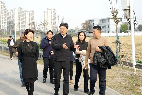 副区长丁炯炯调研第七批市级乡村振兴示范村创建工作