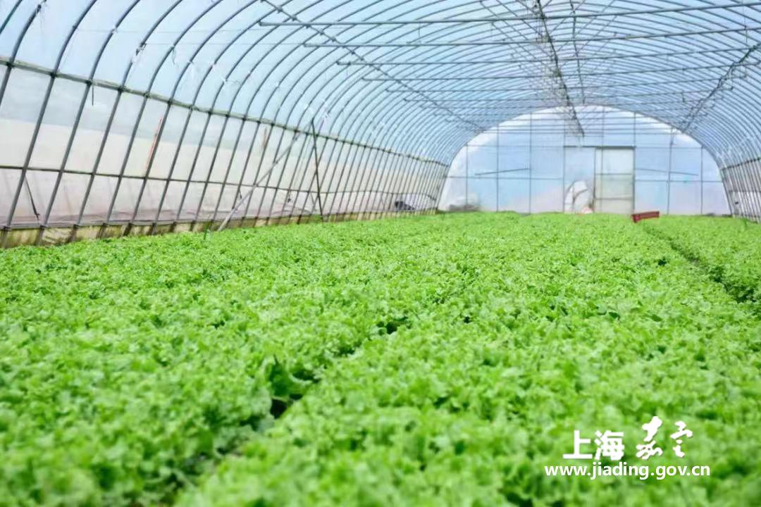 de04a187743b427bb9085294ffeadca7.jpg de04a187743b427bb9085294ffeadca7.jpg