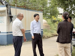 副区长丁炯炯调研外冈镇生猪养殖生产情况