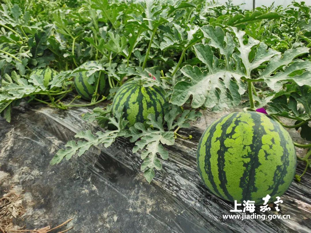 df2e2ef6922f4f1e9332861cc27463f7.jpg df2e2ef6922f4f1e9332861cc27463f7.jpg