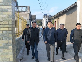 区委常委、副区长朱效洁视察农村人居环境优化及美丽乡村建设工作