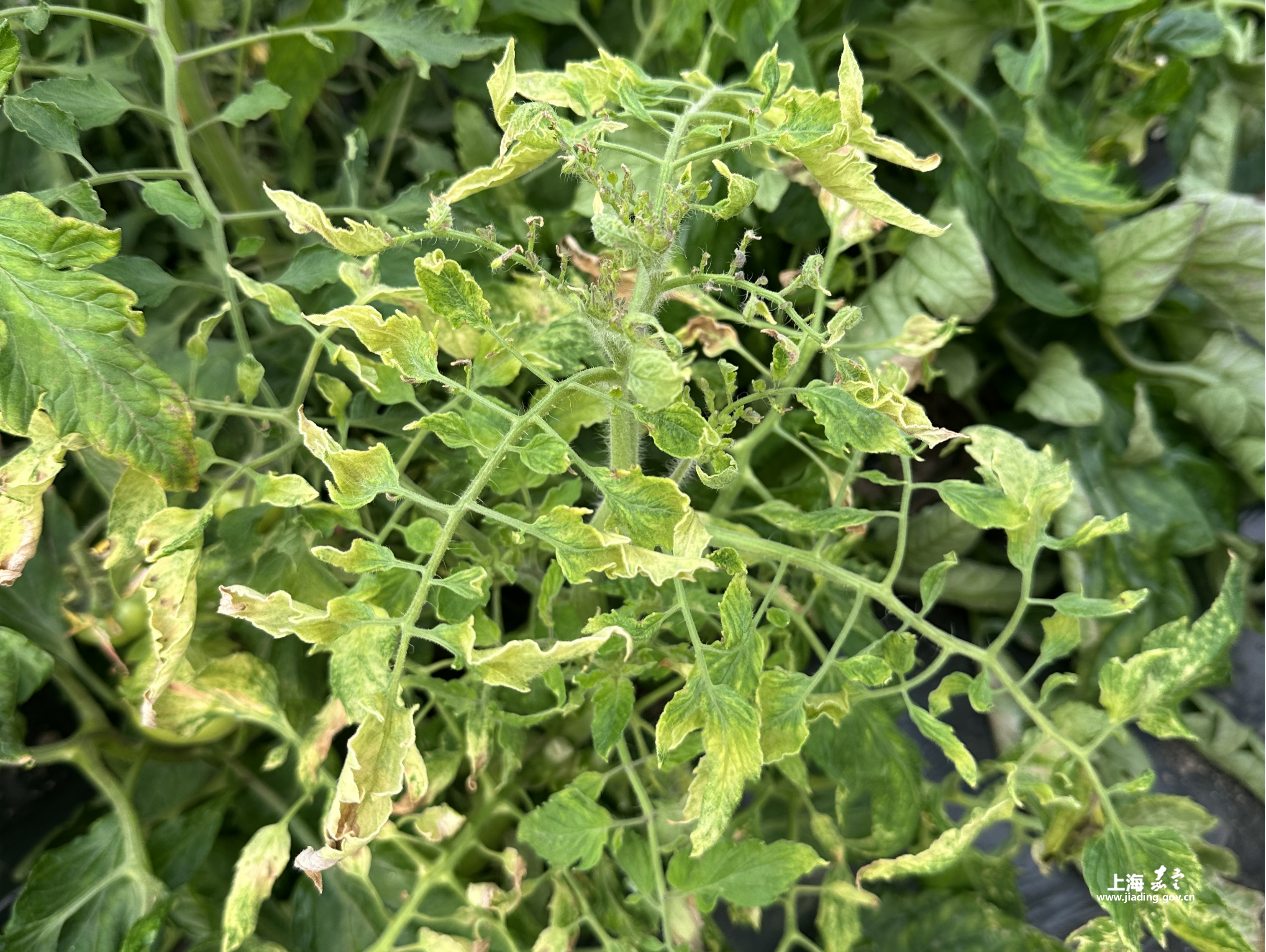 f3e34f6b45a84667beecdd6821f935a4.png f3e34f6b45a84667beecdd6821f935a4.png