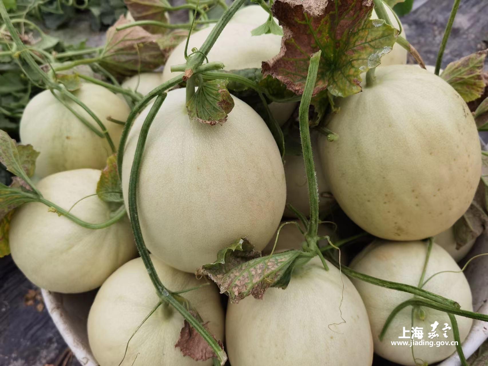 fa38bc8cdbde409fb26a9c2514723734.jpg fa38bc8cdbde409fb26a9c2514723734.jpg