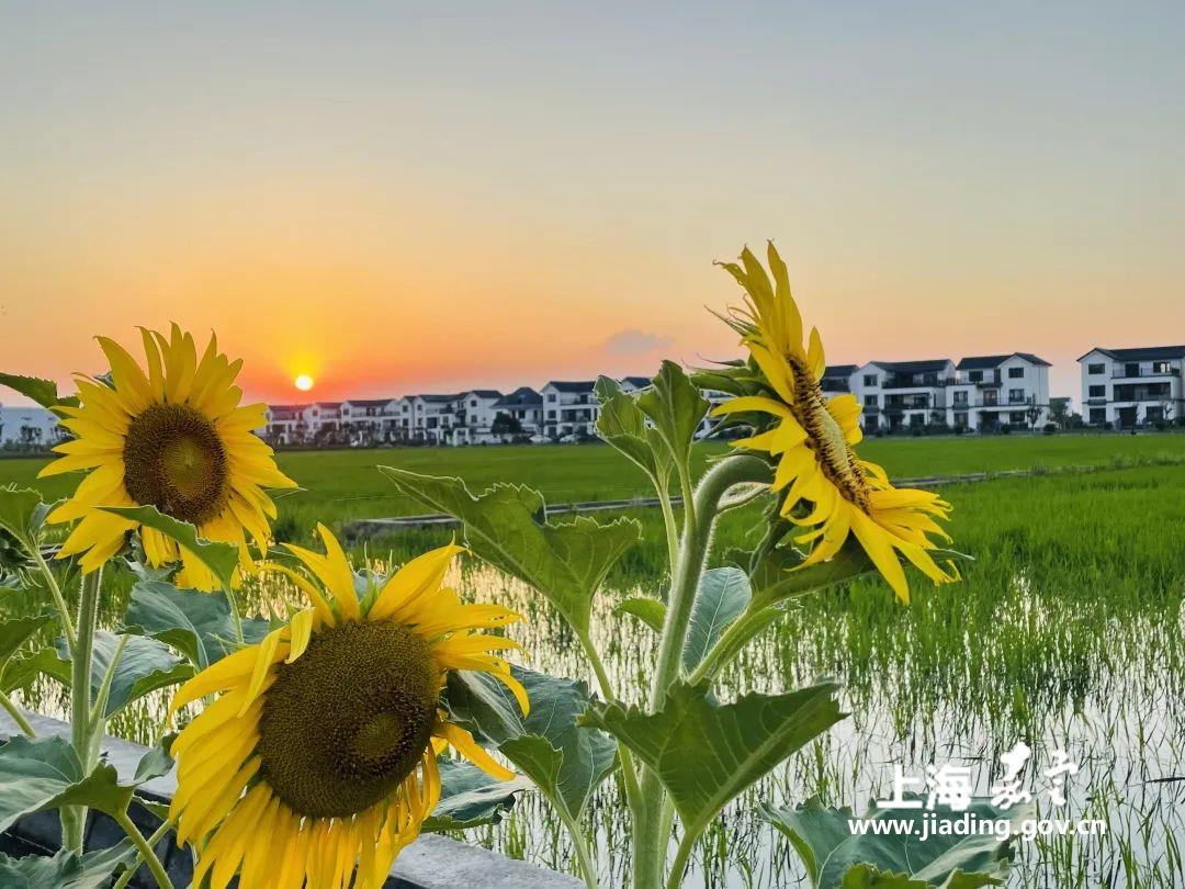 fe819ac3100f4be9ba9305a3e941acdd.jpg fe819ac3100f4be9ba9305a3e941acdd.jpg